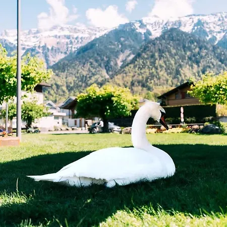 Lakeside Barn Near Interlaken *